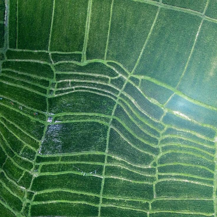 Entertainment zone at night in France